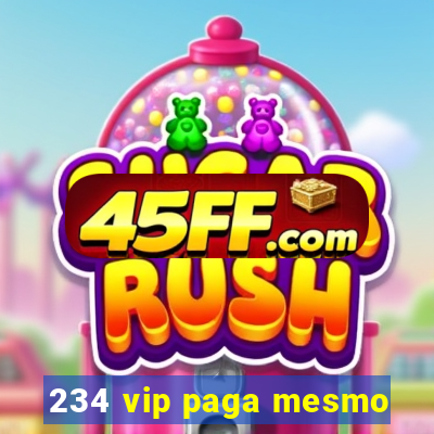 234 vip paga mesmo